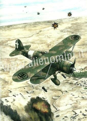 FIAT CR.42 Falco bombe alari